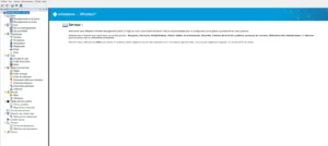 Interface du serveur de vidéosurveillance Milestone XProtect